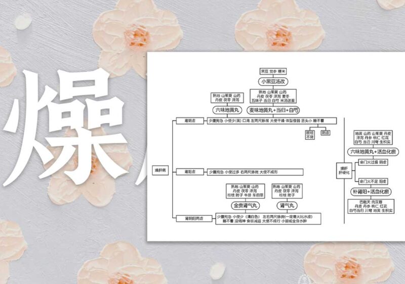燥肝证思维导图｜2014.8.10-善米