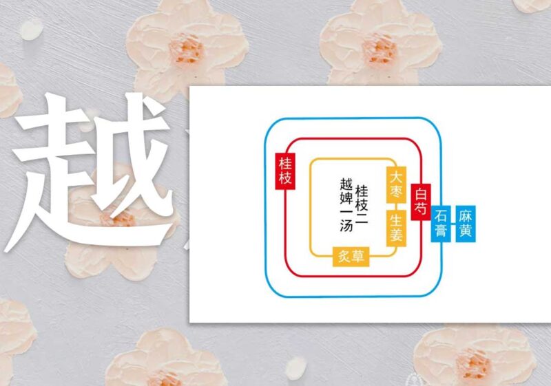荣卫坏病：荣弱＜卫强｜2014.8.10-善米
