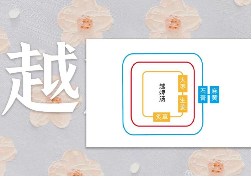 荣卫坏病：荣虚＜卫强｜2014.8.10-善米