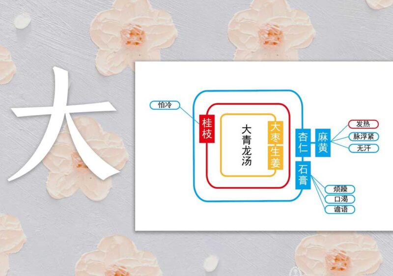 荣卫坏病：荣虚＜卫热｜2014.8.10-善米