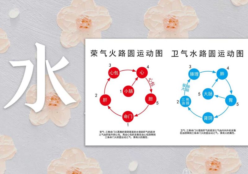 荣卫水火圆运动图｜2014.8.10-善米