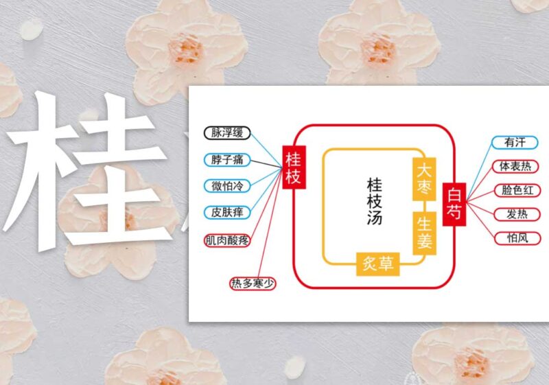 荣卫病：荣卫双弱｜2014.8.10-善米