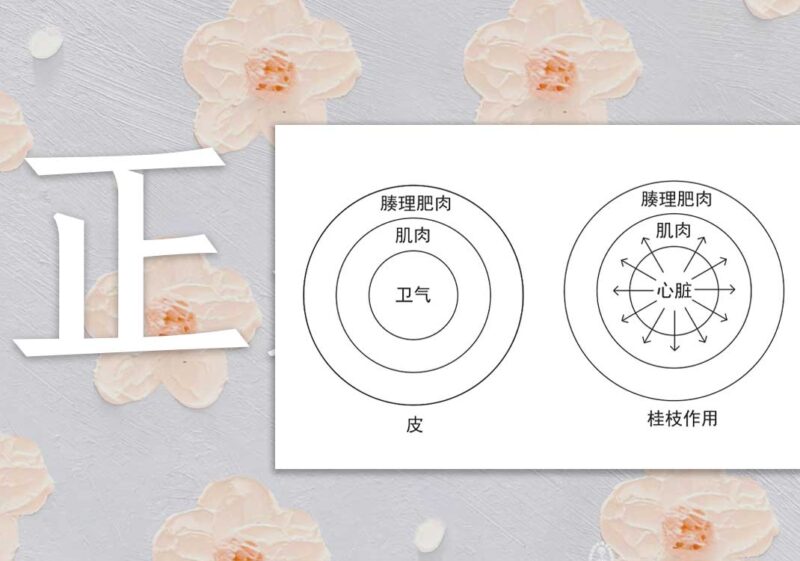 荣卫病：荣卫轻弱｜2014.8.10-善米
