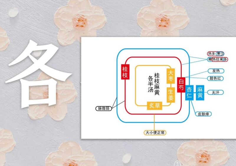 荣卫病：荣气＜卫气｜2014.8.10-善米