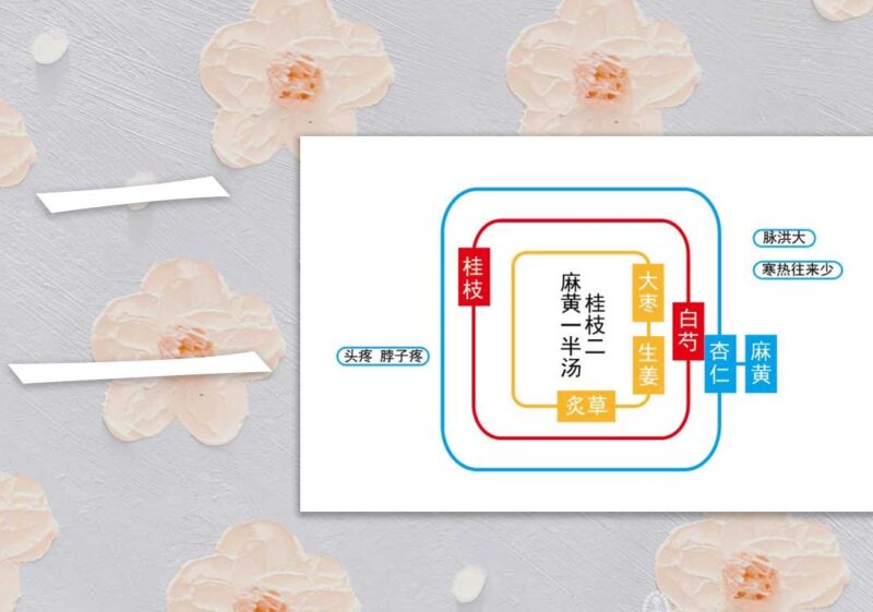 荣卫病：荣气＞卫气｜2014.8.10-善米