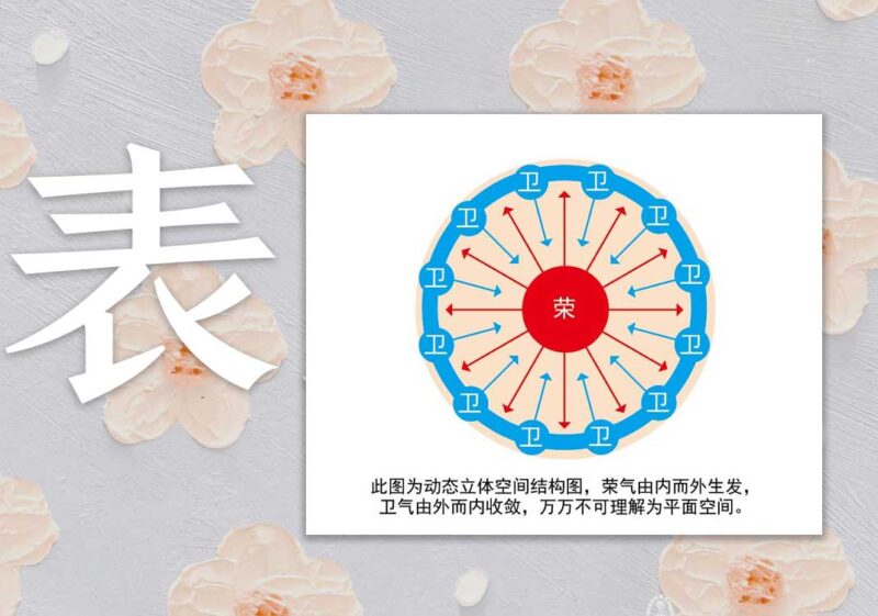 荣卫表里关系图｜2014.8.10-善米