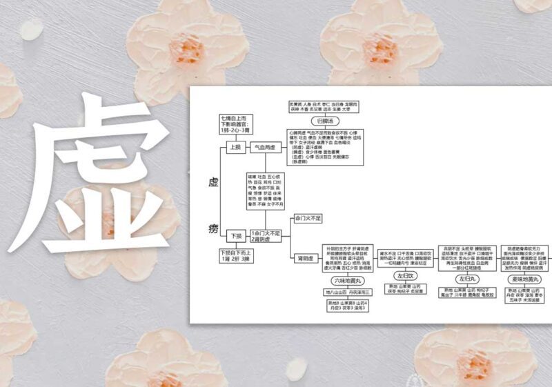虚劳思维导图｜2014.8.10-善米