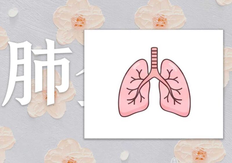 降肺金之药｜2013.01.01-善米