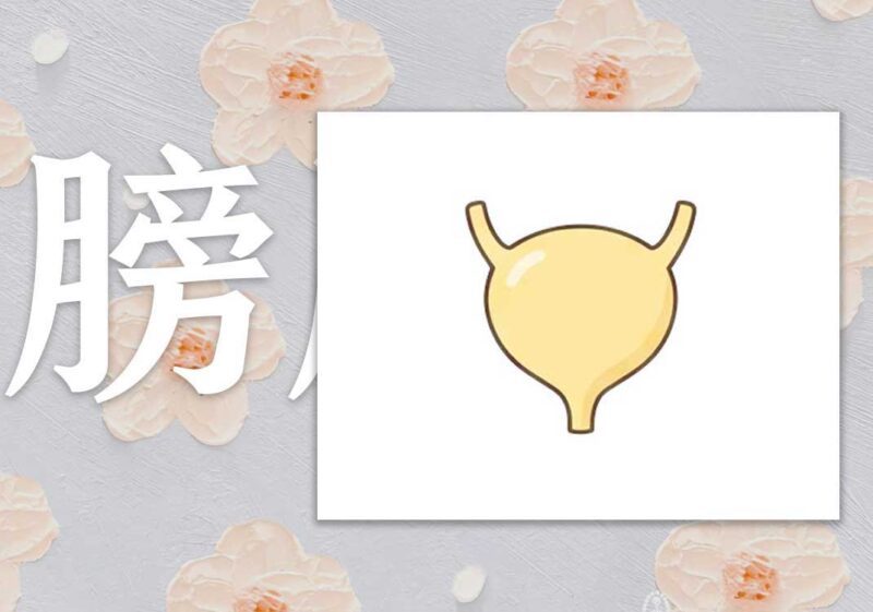 降膀胱水之药|2013.01.01-善米