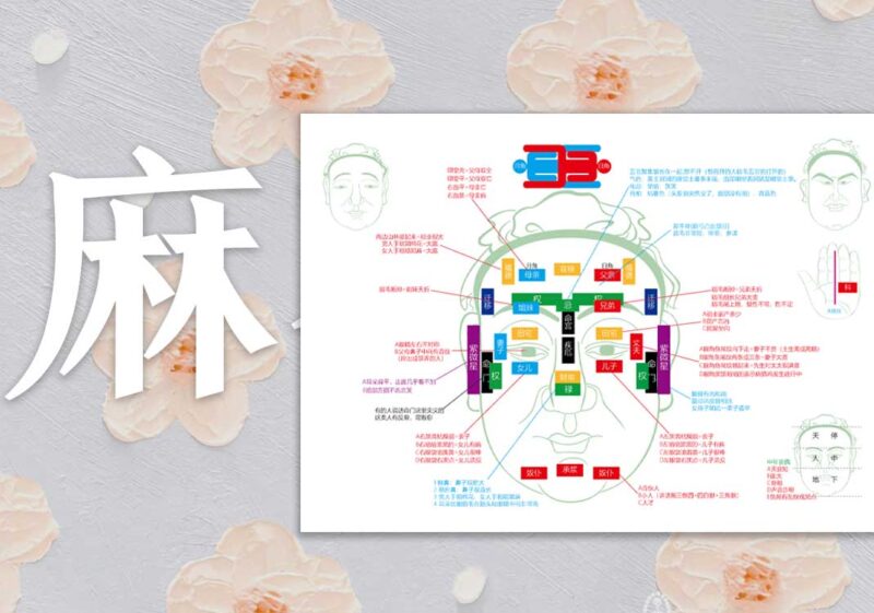 麻衣神像面相图｜2014.5.14-善米