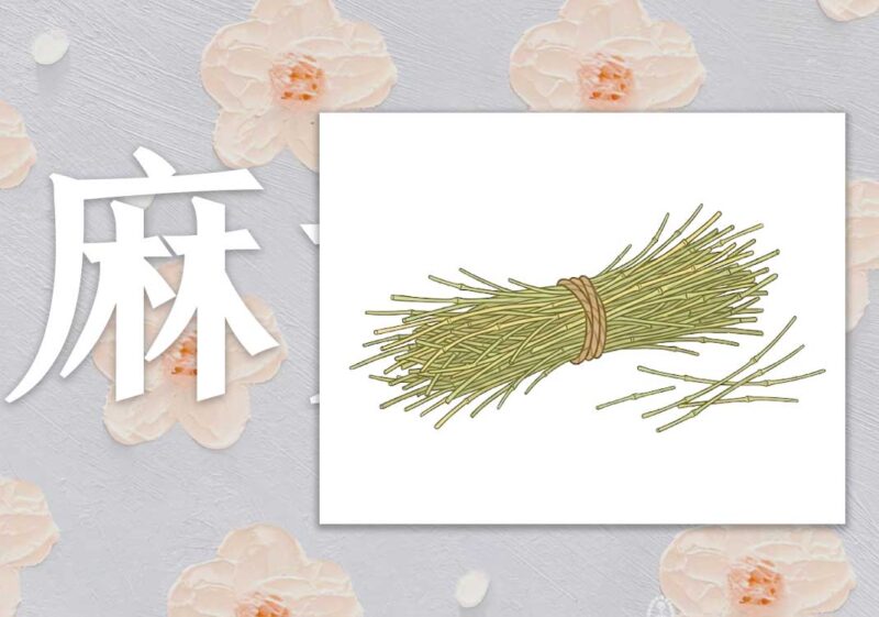 麻黄：开毛孔、宣肺｜2013.01.28-善米