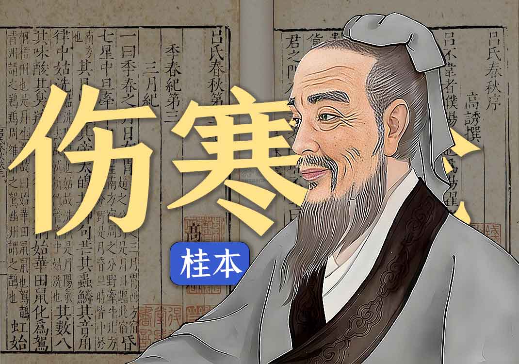 《桂本伤寒论》原文｜张仲景-善米