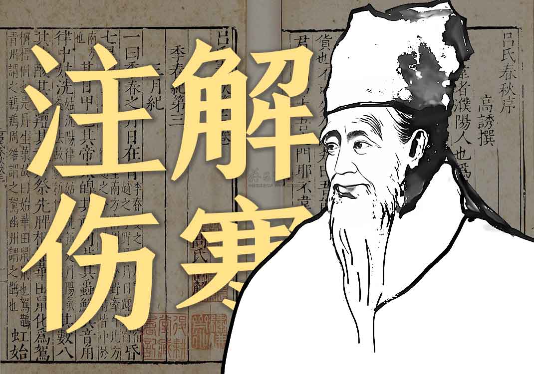 《注解伤寒论》原文｜成无已-善米