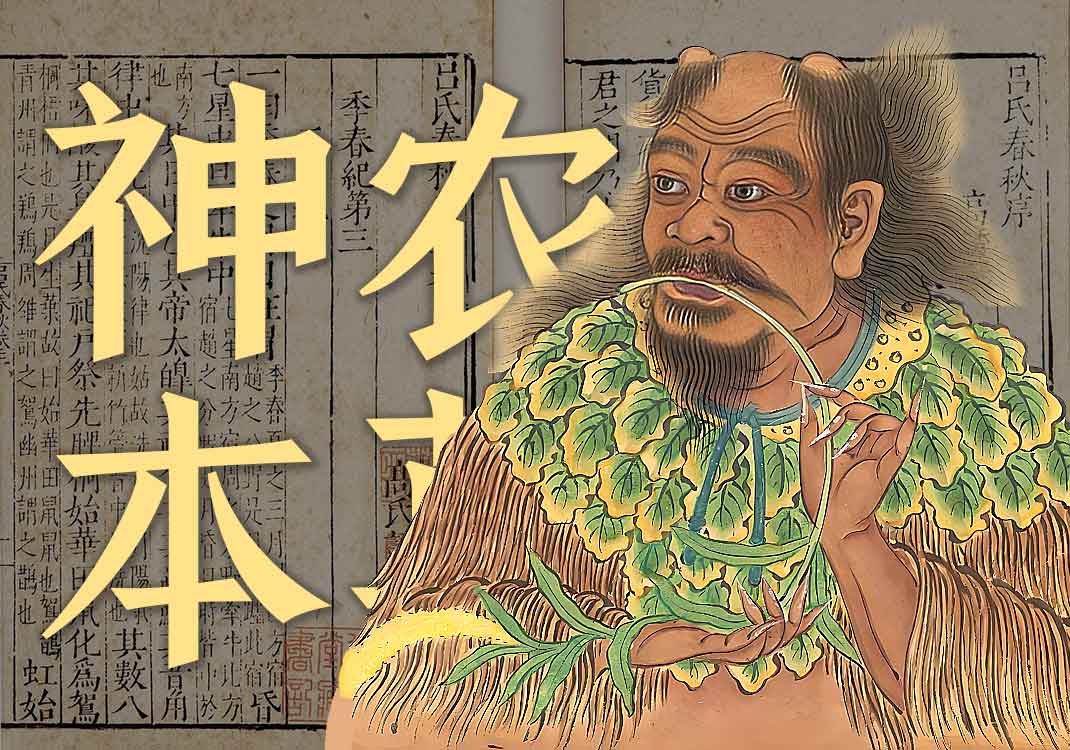 《神农本草经》原文｜佚名-善米