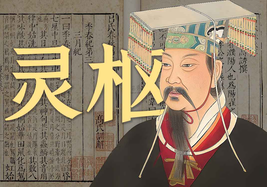 《黄帝内经 灵枢》原文｜佚名-善米