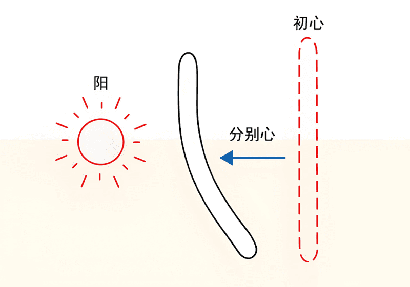 07什么是初心和分别心（丨、囟、退）-善米