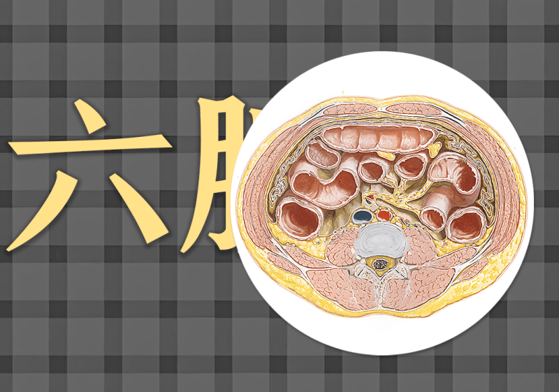 17六腑中的阴阳之道-善米