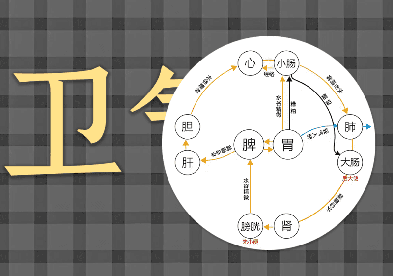 12卫气清浊中的阴阳之道-善米