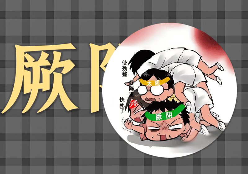 18厥阴病中的阴阳之道-善米