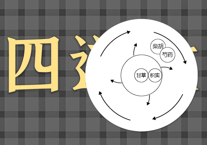 24四逆散中的阴阳之道-善米