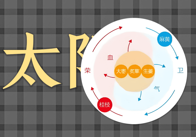14太阳病中的阴阳之道-善米