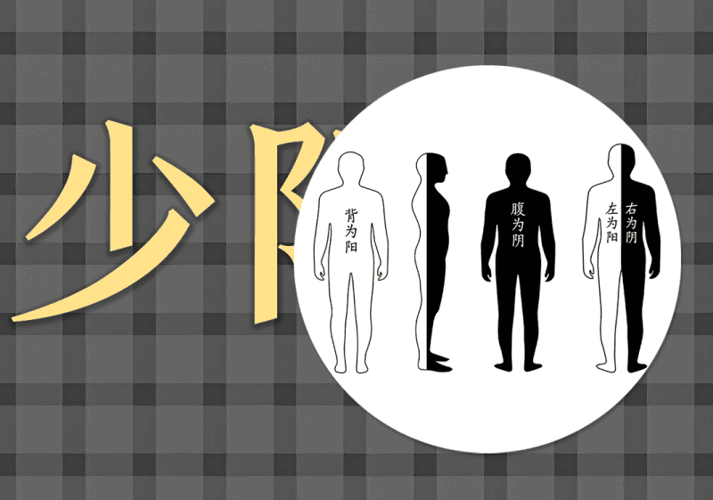 16少阳经中的阴阳之道-善米