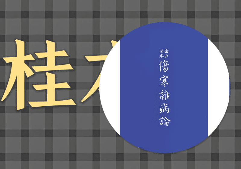 06桂本伤寒论中的阴阳之道-善米