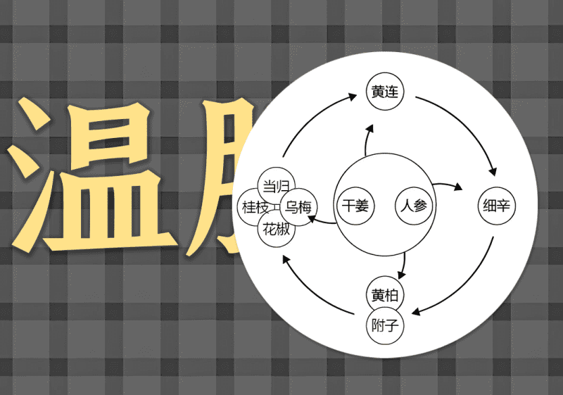 26温胆汤和乌梅丸中的阴阳之道-善米