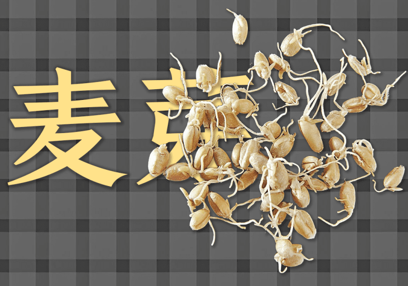 生麦芽、炒麦芽、浮小麦、麦芽糖-善米