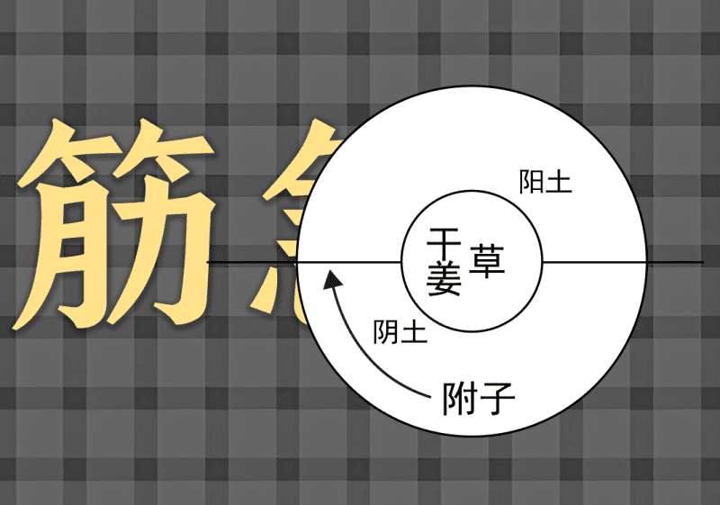筋急与筋迟中的阴阳之道2-善米