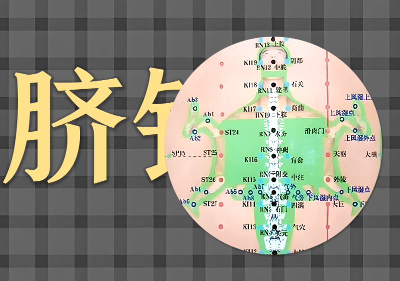 15腹针原理中的阴阳之道-善米