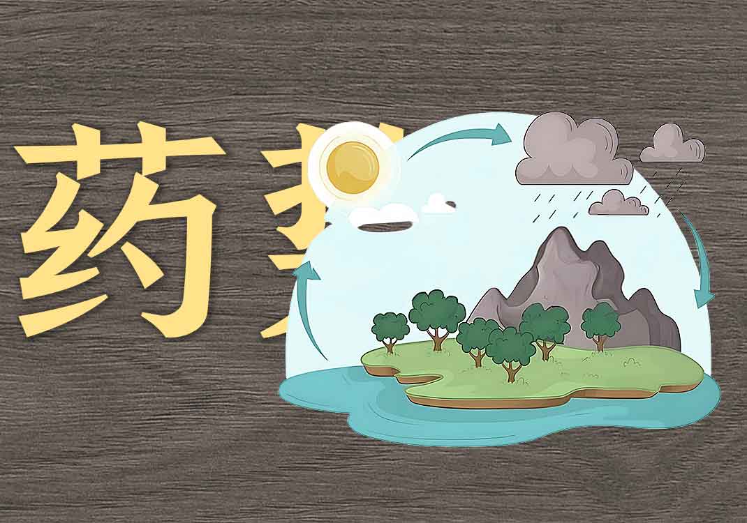 药势的本质-善米