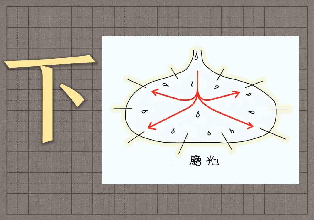 4下焦之所出-善米