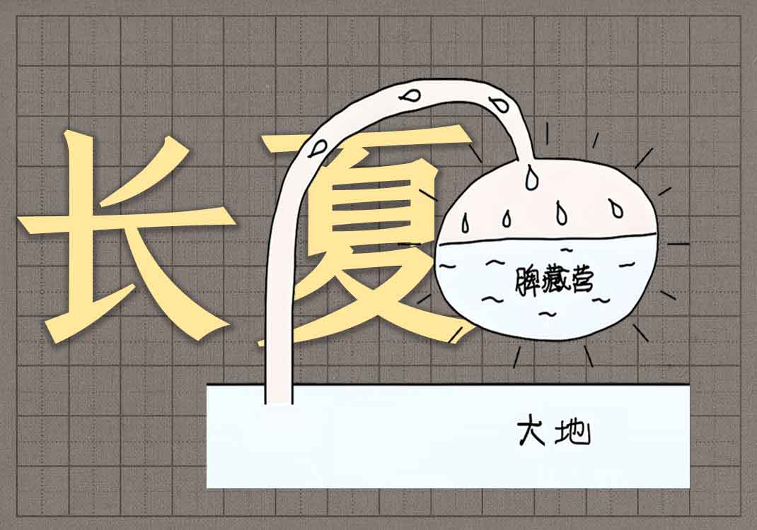 5十二经脉为长夏之精-善米