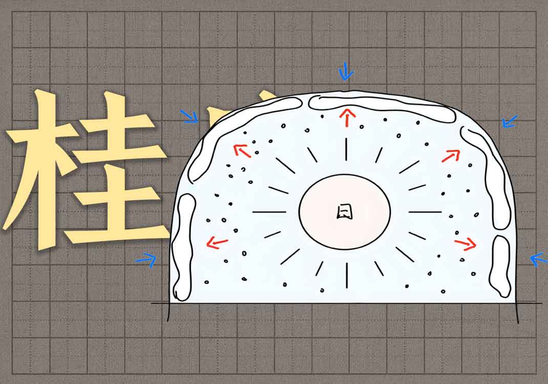 9桂枝汤、麻黄汤总结-善米