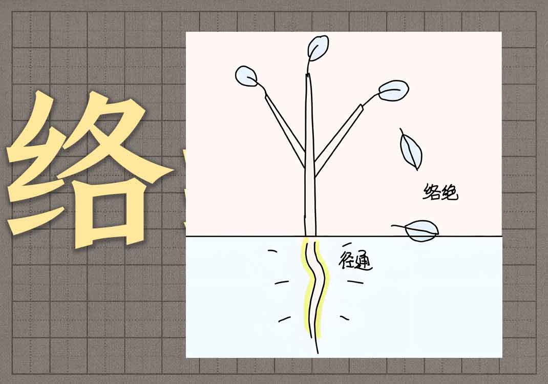 9络绝与径通之理-善米