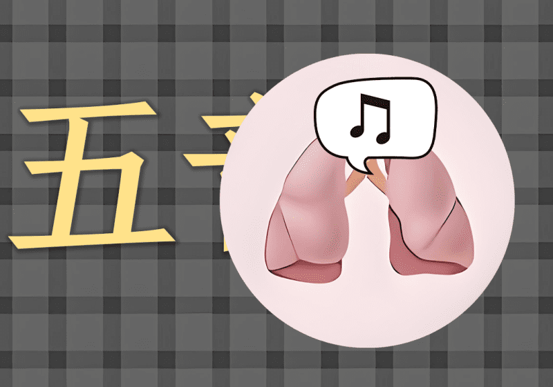 五音中的阴阳之道-善米