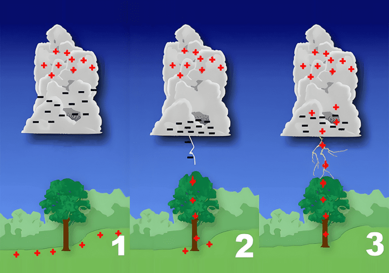 附：2大地之奋气-善米