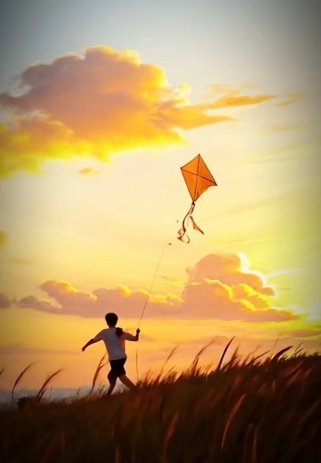 小花的头像-善米