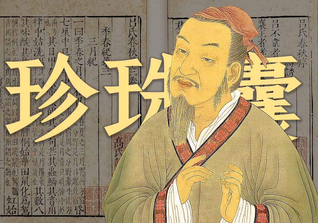 《珍珠囊》原文｜张元素-善米