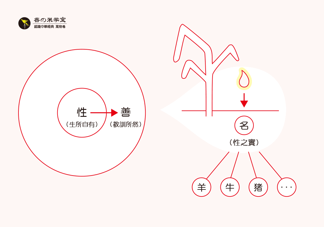 第01课 天性与性实｜万物之命篇-善米