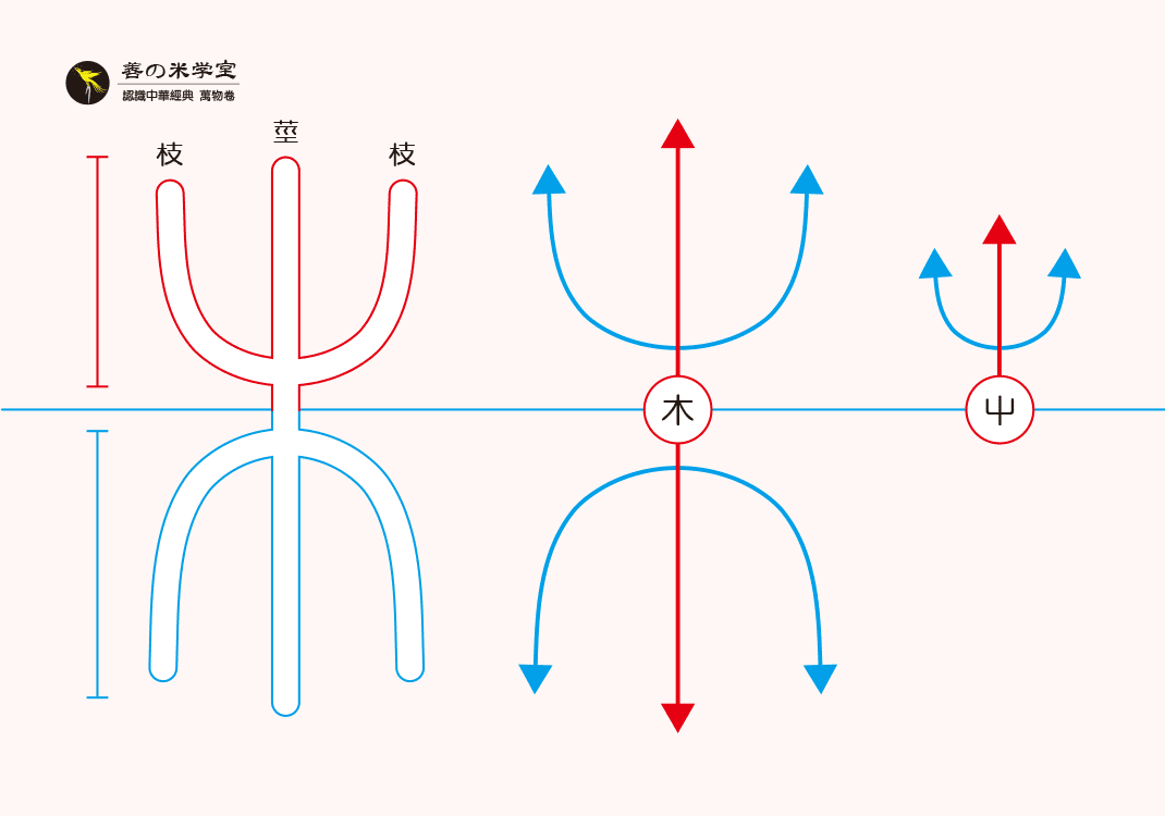 第01课 木与屮之势｜万物之势篇-善米