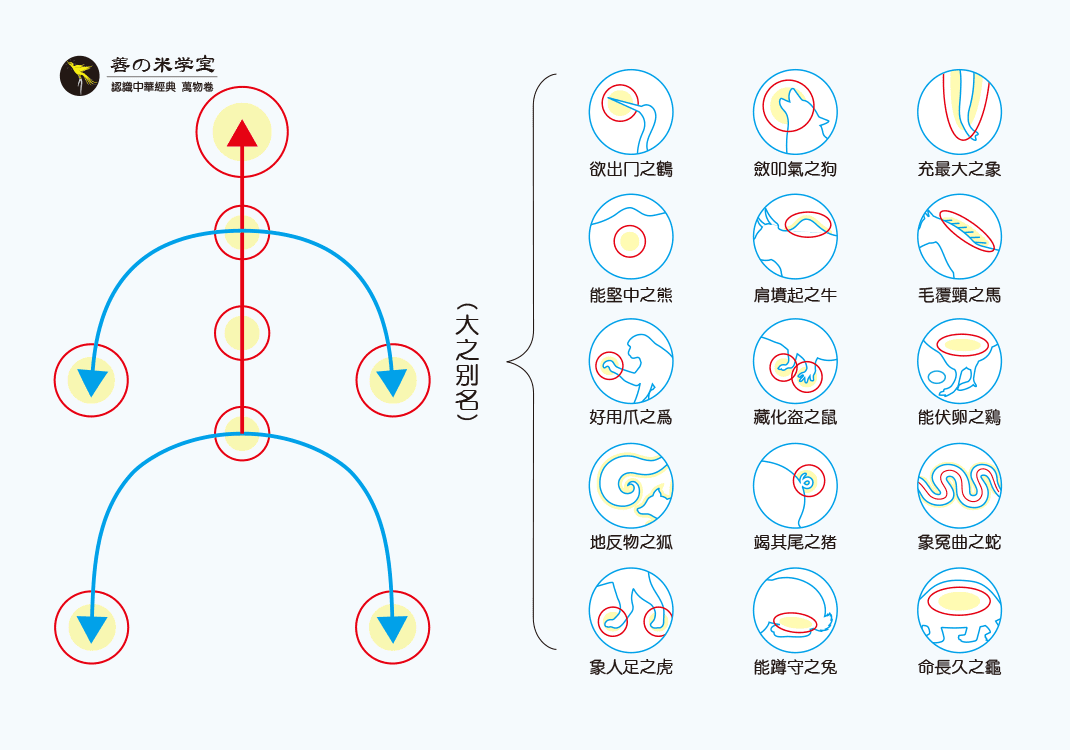 第01课 鸟兽之别名｜禽兽之名 上篇-善米