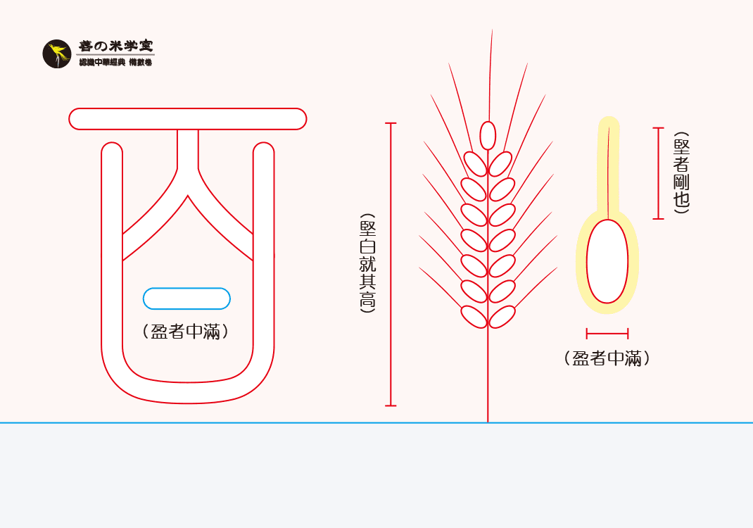 第01课：百为秋之章｜数之秋实篇-善米