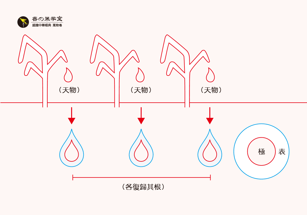 第02课 天物与归根｜万物之命篇-善米