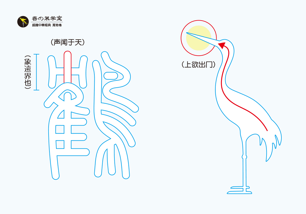 第02课 欲出冂之鹤｜禽兽之名 上篇-善米
