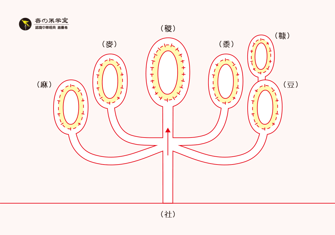 第02课 禾为上善之光｜天地之美篇-善米