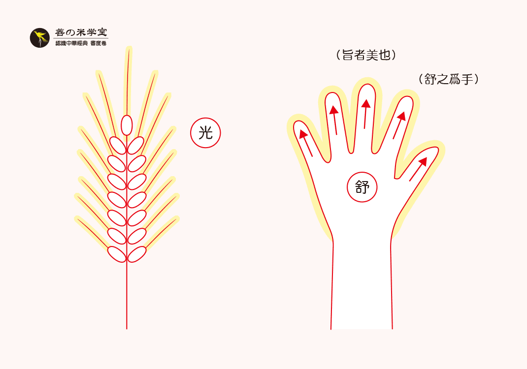 第03课 手为实之美｜审度之身篇-善米