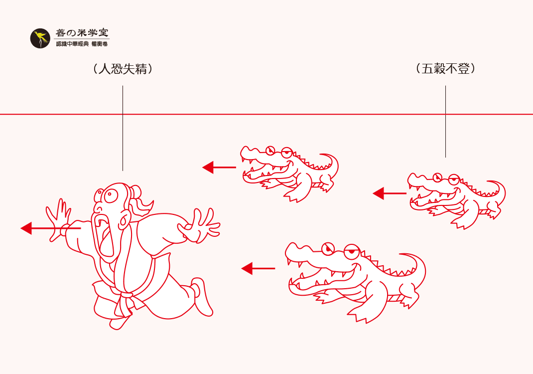 第04课 五谷之不登｜天地之美篇-善米