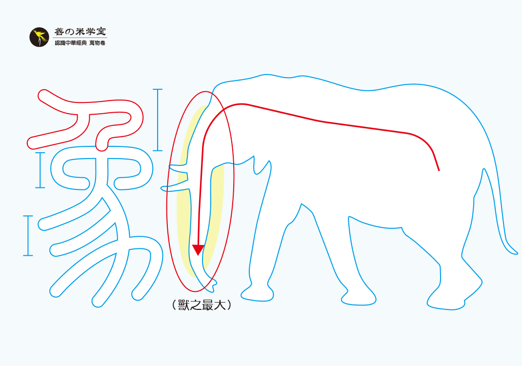 第04课 充最大之象｜禽兽之名 上篇-善米